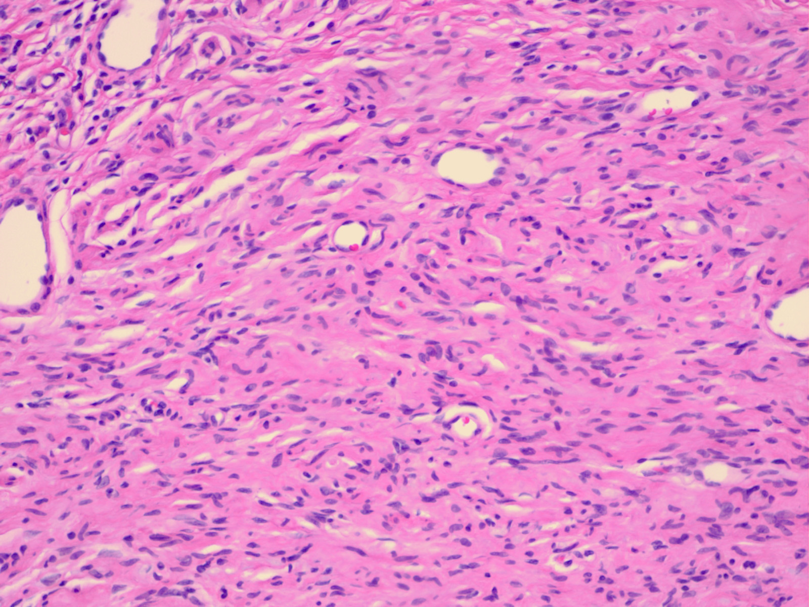 Dermatology Articles (Diagnosis, Dermatologic Surgery ...